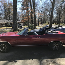 Cars